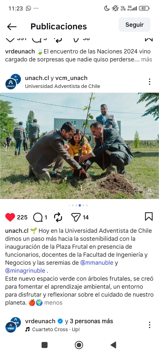Descripción