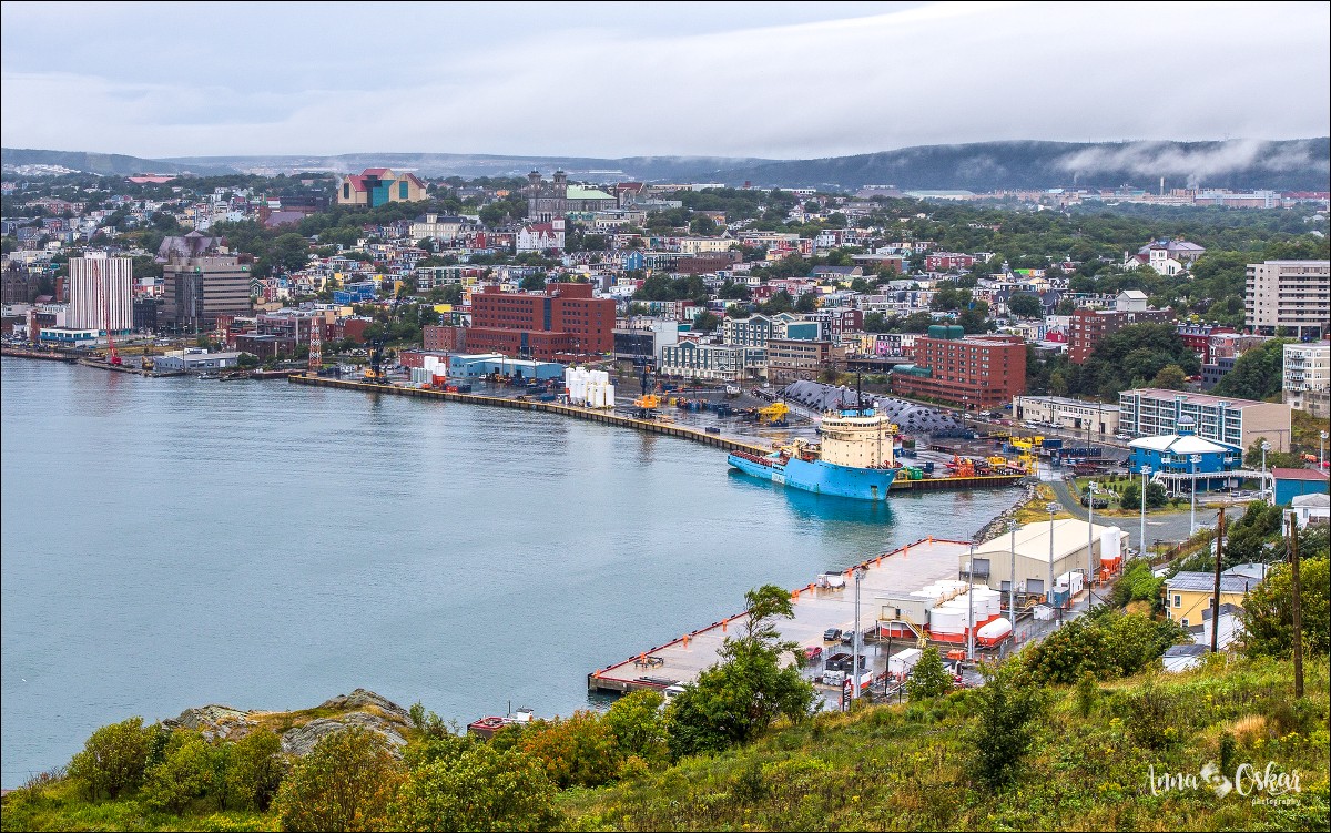 St. John's (II) - Terranova & Labrador: icebergs, puffins y balleneros vascos (11)