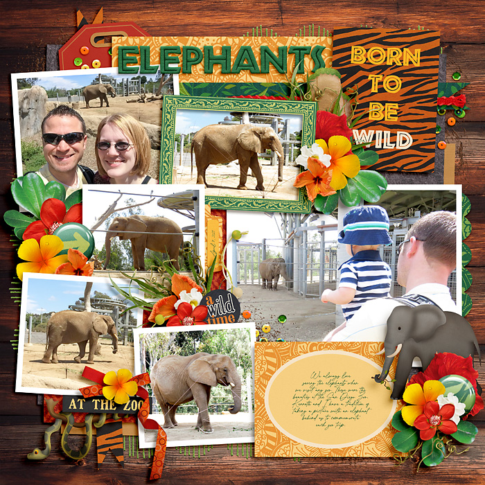 BareNecessities_Elephants700.jpg