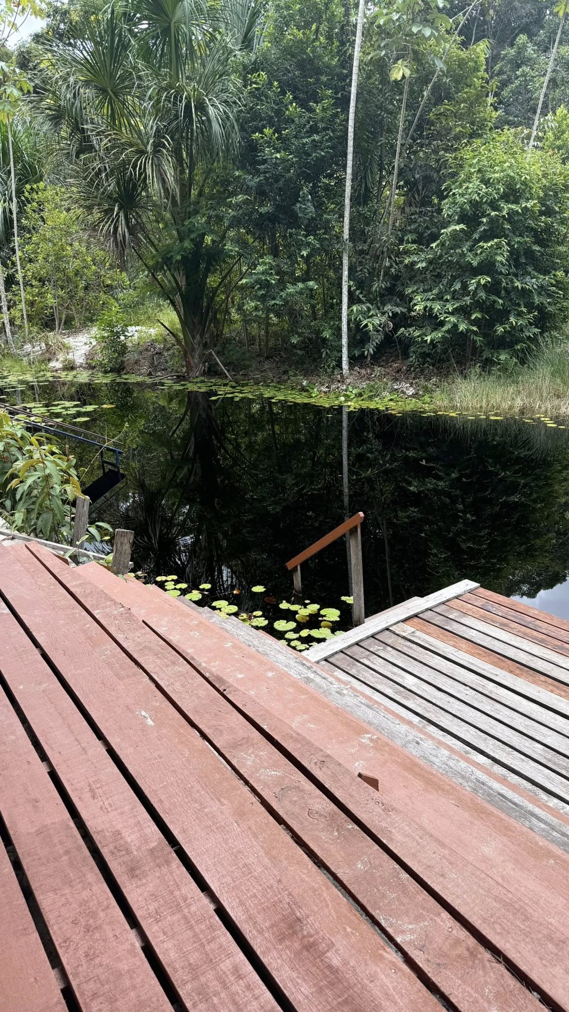 The Nature Spot 3.jpg