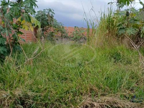 TERRENO COM 160 M² NO LOTEAMENTO JARDIM DAS FLORES EM HORTOLÂNDIA/SP