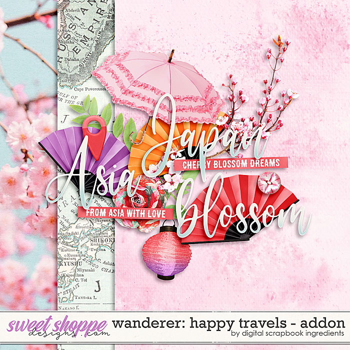 dsi_wanderer-happytravels_addon.jpg