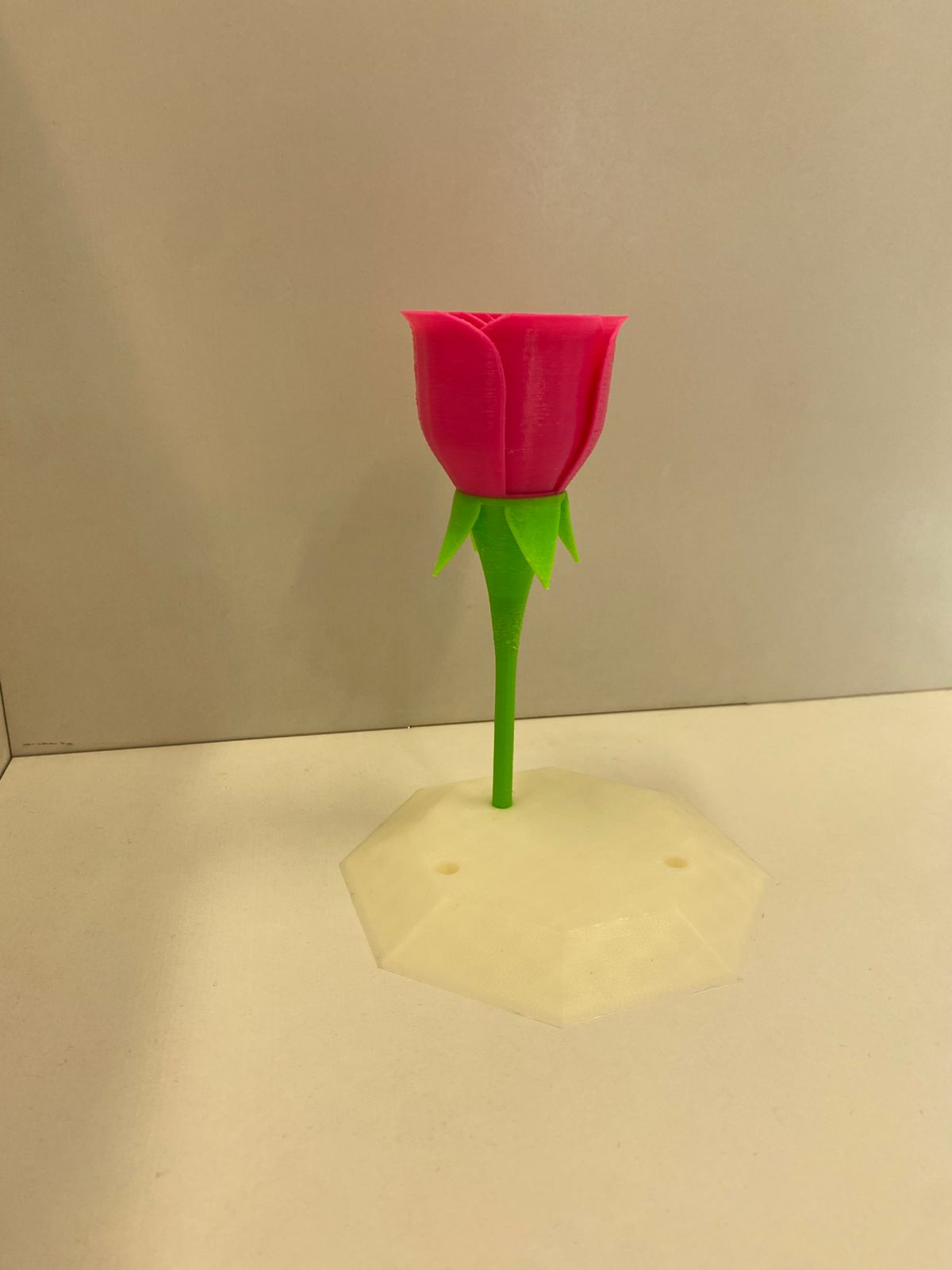 Rosa (Pequena) - imagem 6