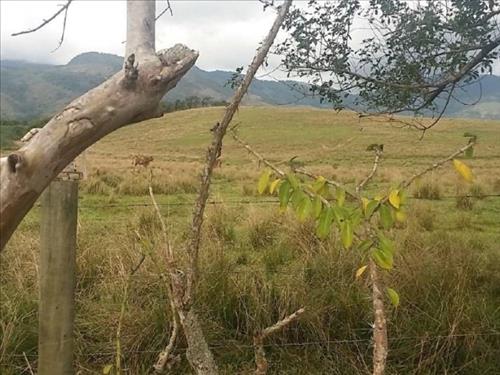 Terreno, A.T.- 50.820m², Boa Esperança, Rio Bonito/RJ (25351) | Grupo Lance