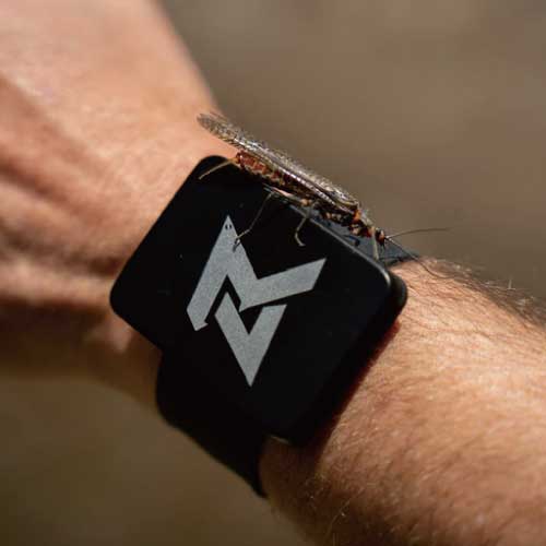 [Mag Band �������]