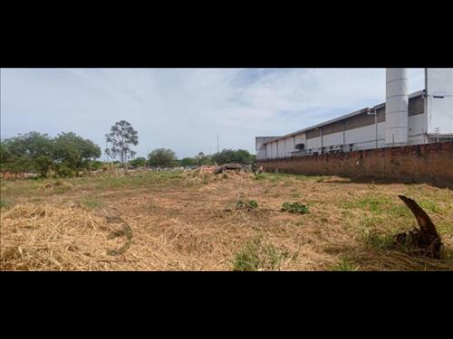 LOTE 001        Terreno