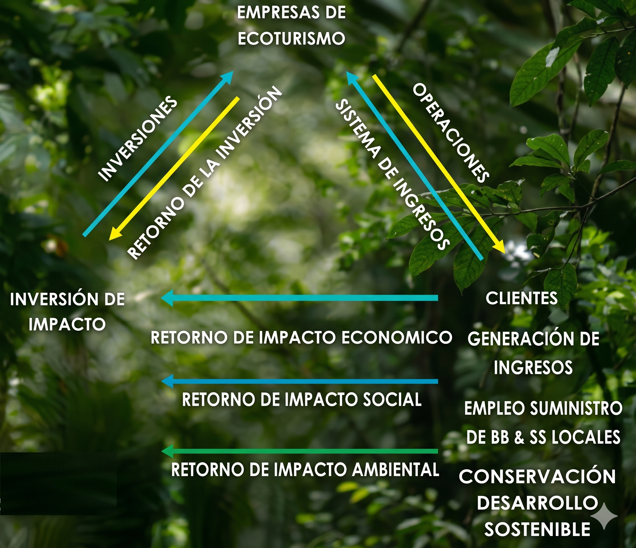 Descripción