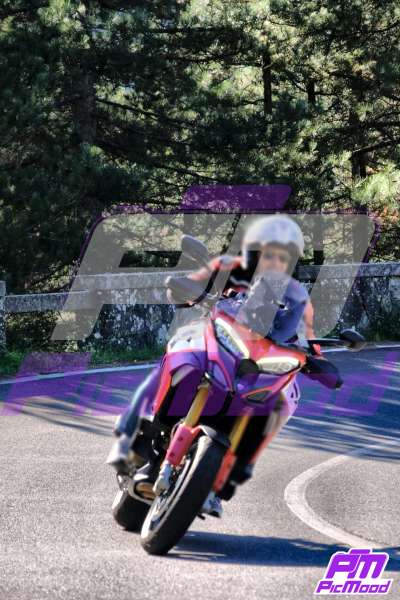 Passo del Muraglione