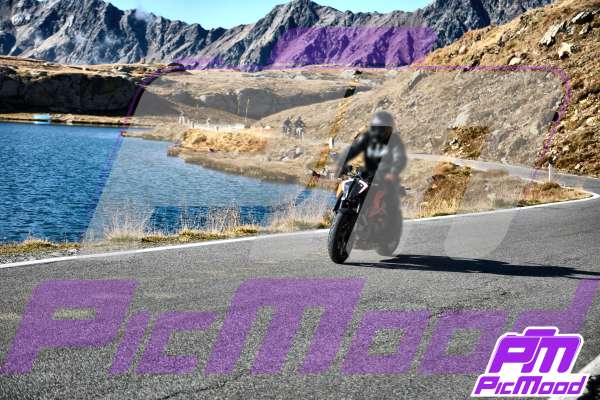 Passo Gavia