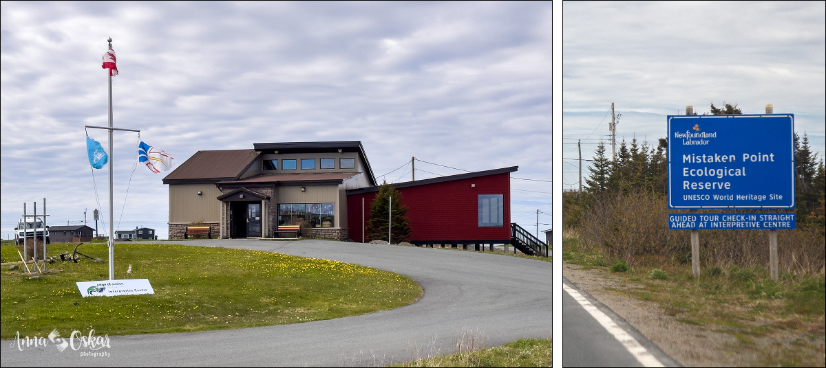 St. John's (I) - Terranova & Labrador: icebergs, puffins y balleneros vascos (3)