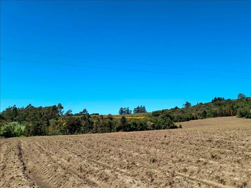 LOTE 004        Nua Propriedade com reserva de Usufruto de...