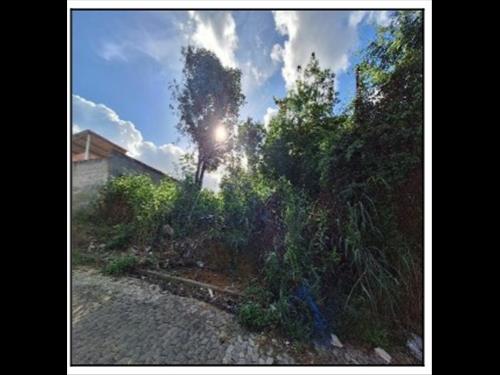 Terreno  -   - 300,00m2