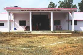 Maa Bhagwati Mahavidayalaya, Chhibramau Image