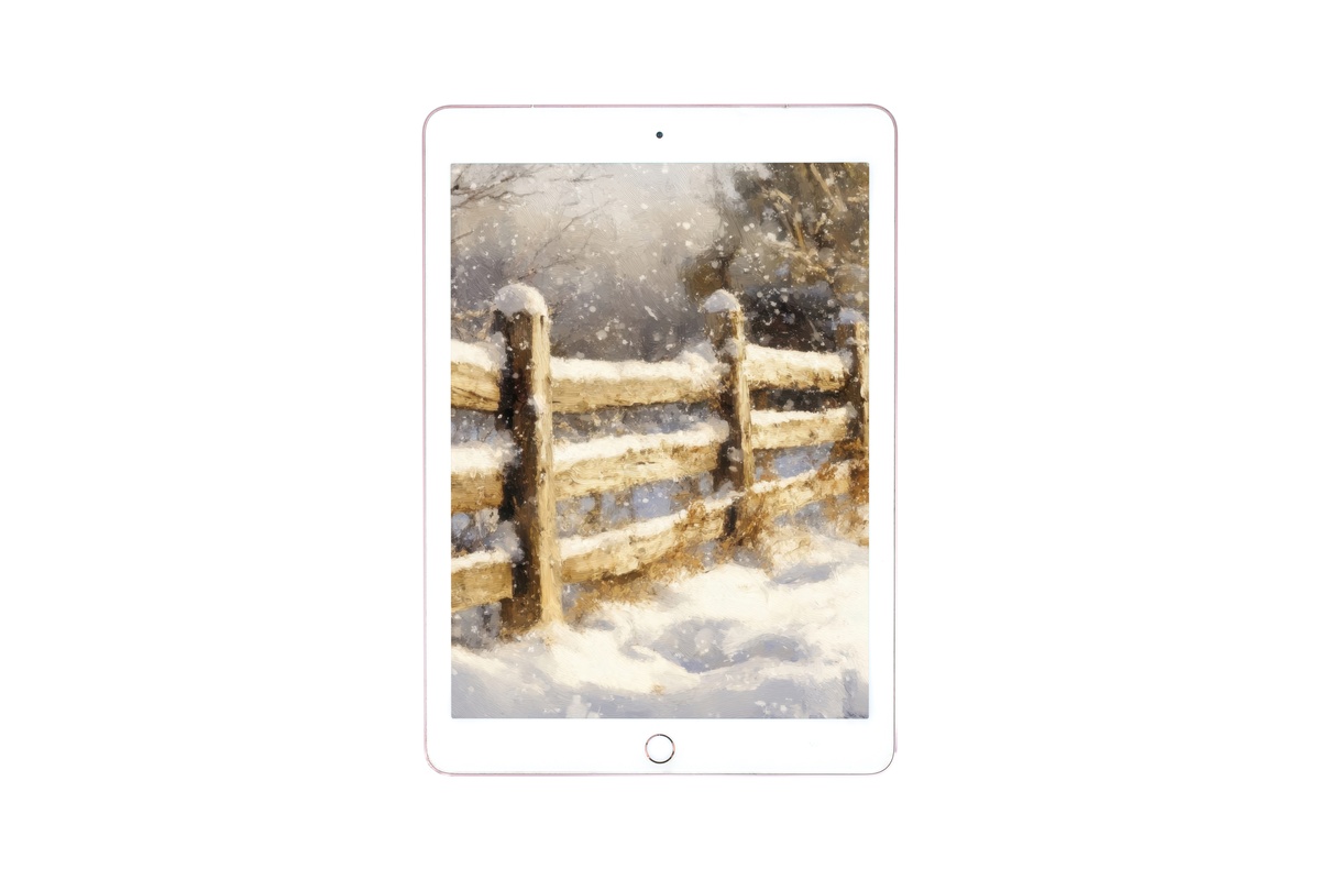 Winter's Boundary iPad Wallpaper