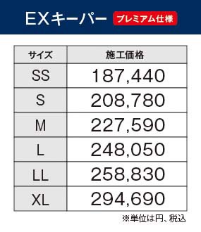 EX_P_price