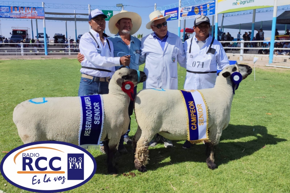 GANADEROS DE CANDARAVE OBTUVIERON LOS PRIMEROS PUESTOS EN LA EXPO MAJES ...