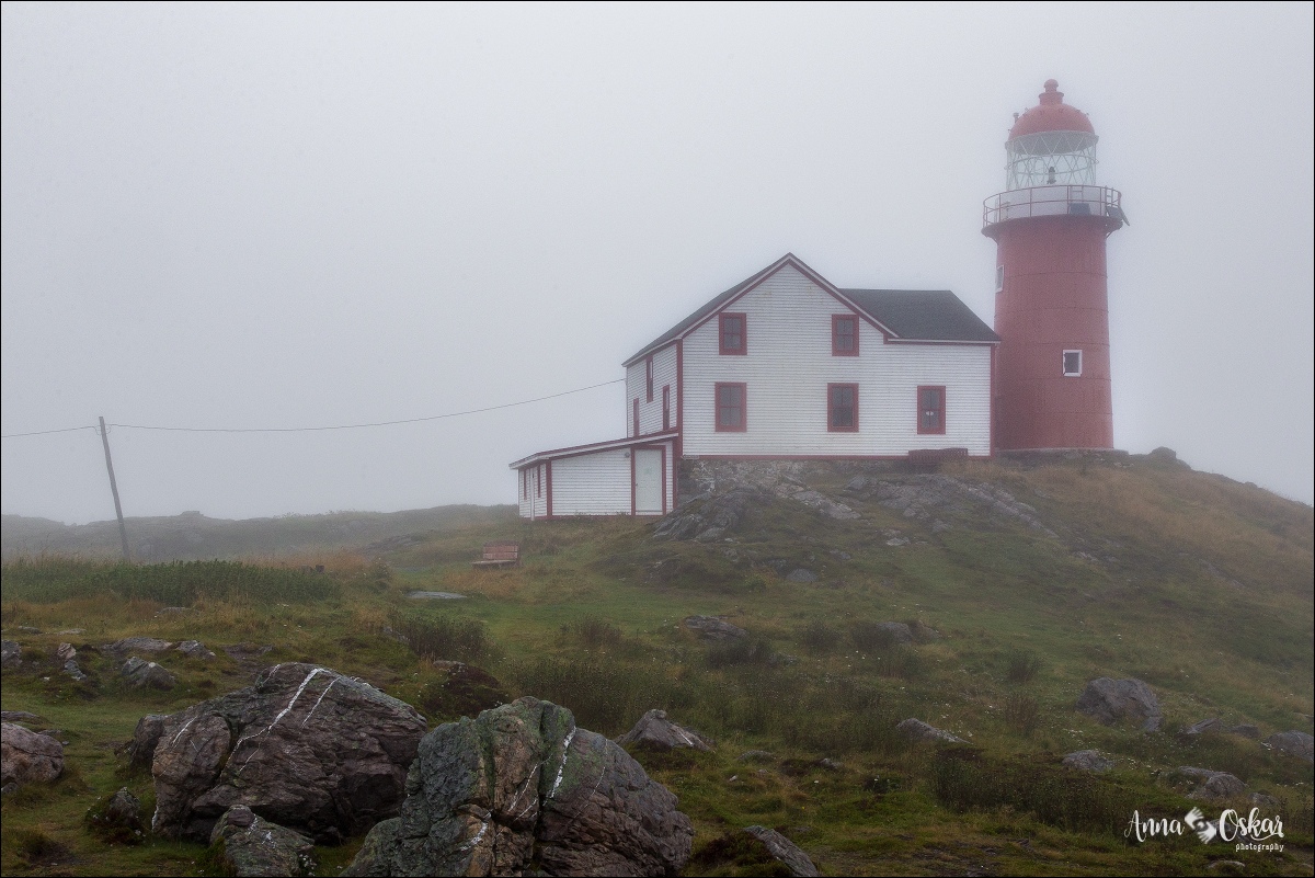 St. John's (I) - Terranova & Labrador: icebergs, puffins y balleneros vascos (24)