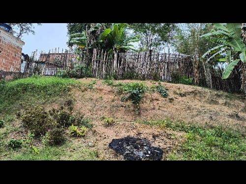 Terreno  -   - 600,00m2