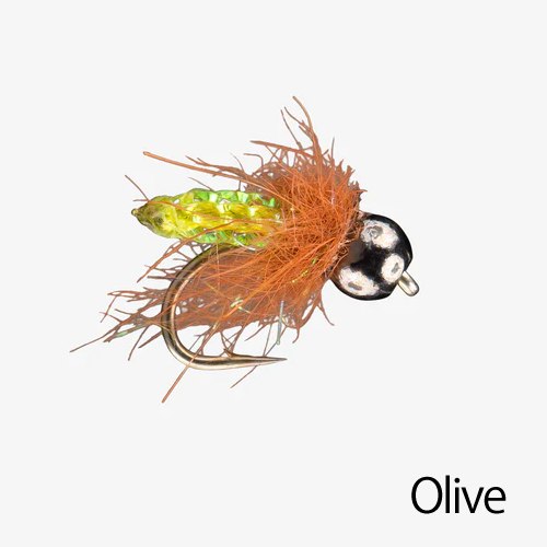 [Olive]
