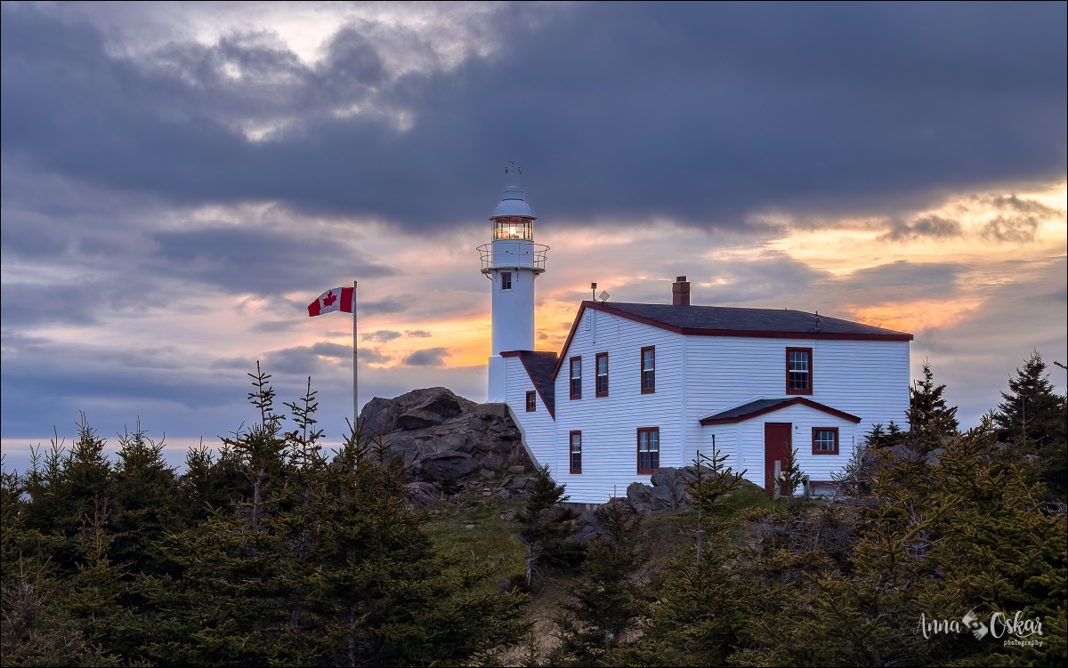Terranova & Labrador: icebergs, puffins y balleneros vascos - Blogs de Canada - Gros Morne National Park (I) (28)