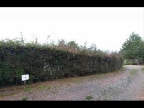 Terreno 1.380m², Alto da Boa Vista, Campos do Jordão/SP
