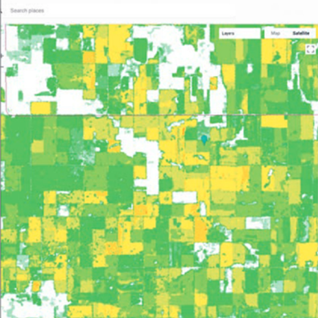 Risk Evaluation App Predicts Lentil Disease