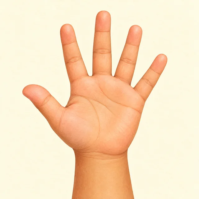 Illustration of hand
