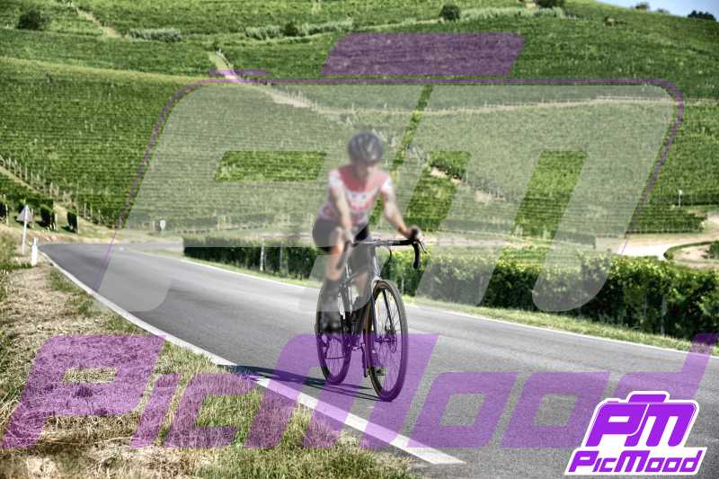 Barolo