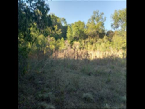 LOTE 001  -  Uma fração ideal de 15 hectares dentro de uma área maior de 40 hectares, situada no 1º...