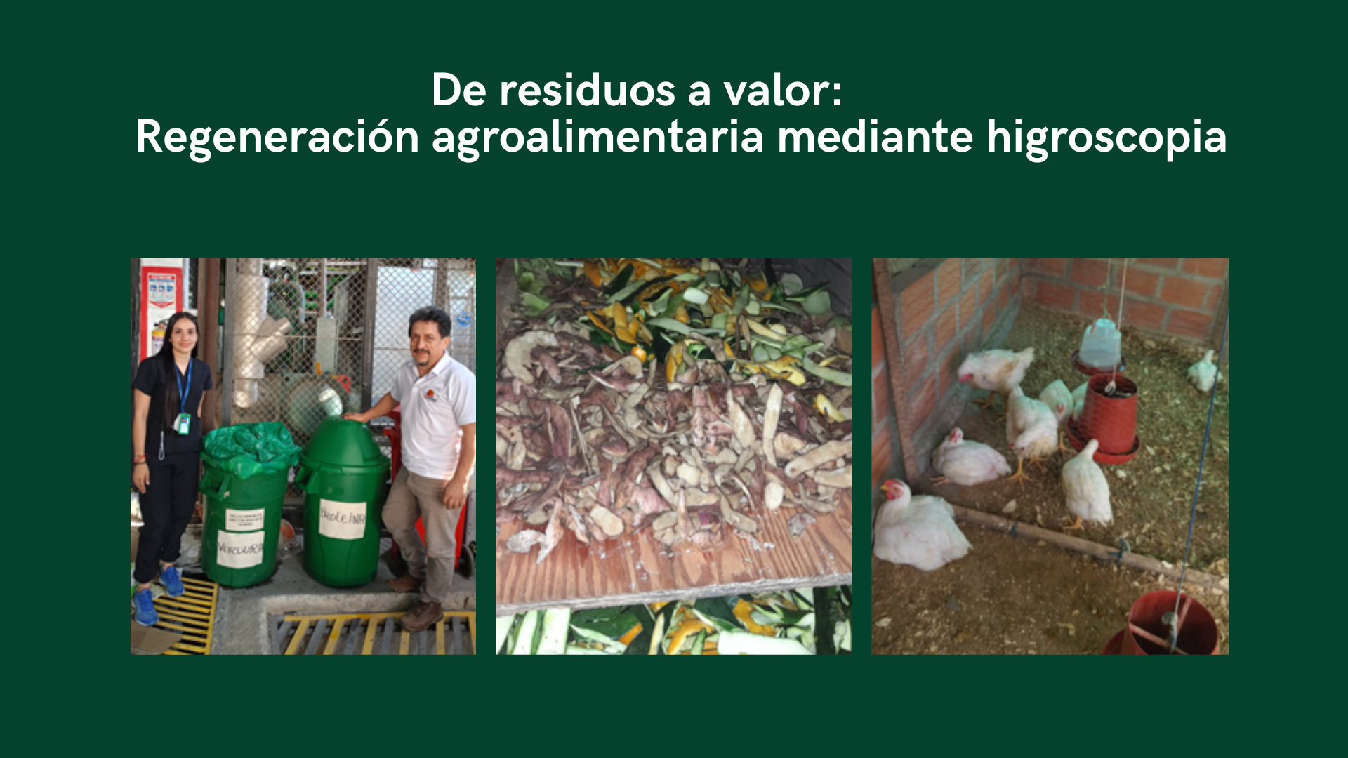 Descripción