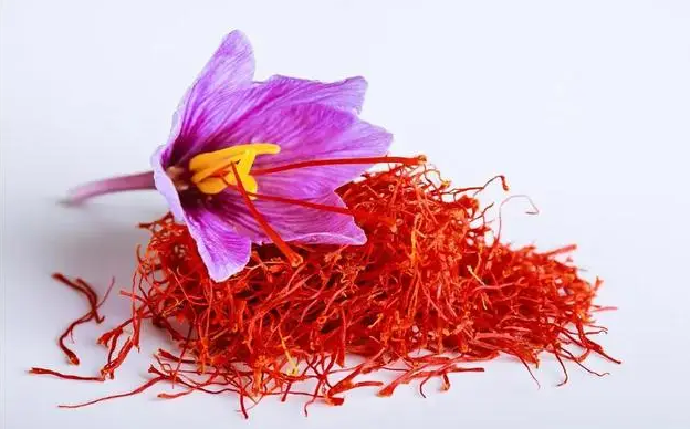 藏紅花