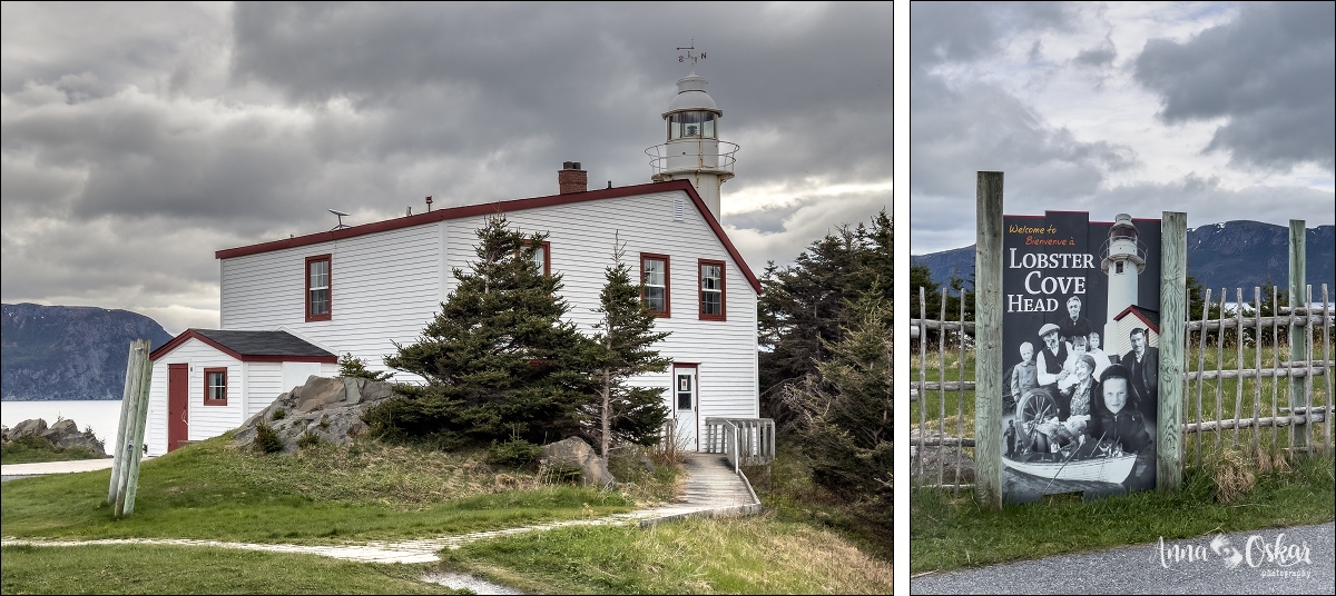 Terranova & Labrador: icebergs, puffins y balleneros vascos - Blogs de Canada - Gros Morne National Park (I) (17)