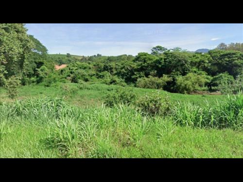 LOTE 013        FRAÇÃO IDEAL DE 33,32% DE IMÓVEL RURAL EM...