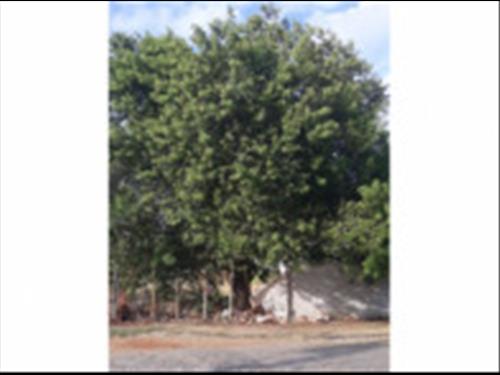 Campos dos Goytacazes/RJ - Terreno 131/133 c/ parte de quadra poliesportiva