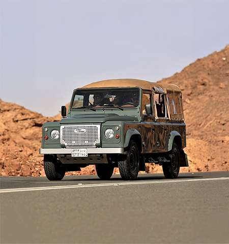 Safari Adventure Experience