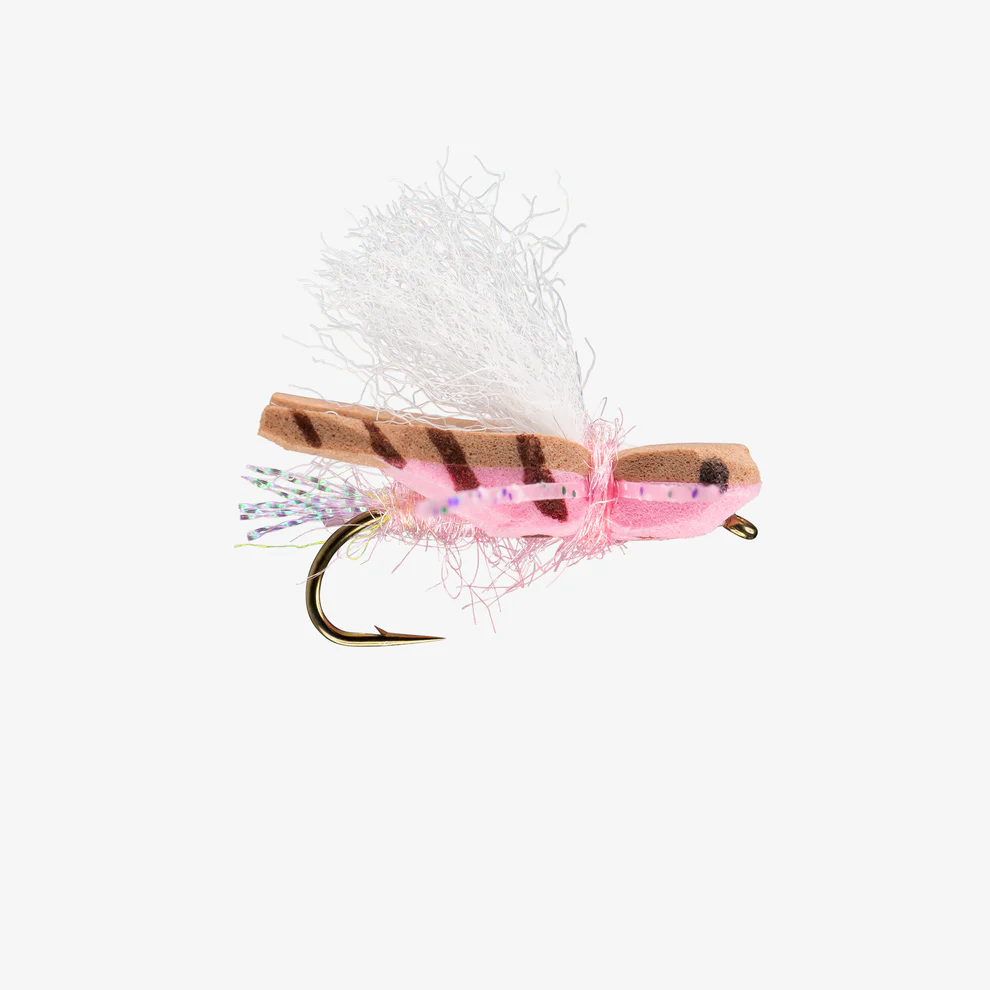 [Pink]