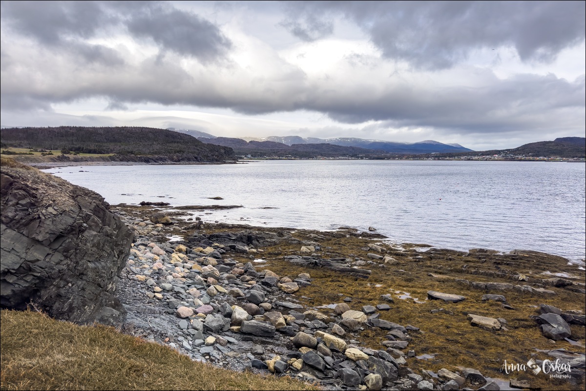 Terranova & Labrador: icebergs, puffins y balleneros vascos - Blogs de Canada - Gros Morne National Park (I) (21)
