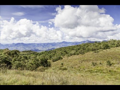 LOTE 001        IMÓVEL RURAL COM ÁREA DE 153,33,00 HECTARE...