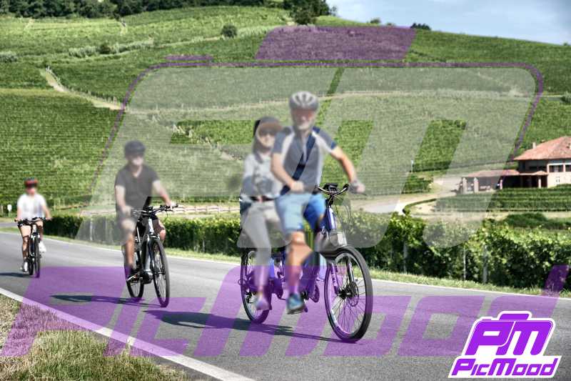 Barolo