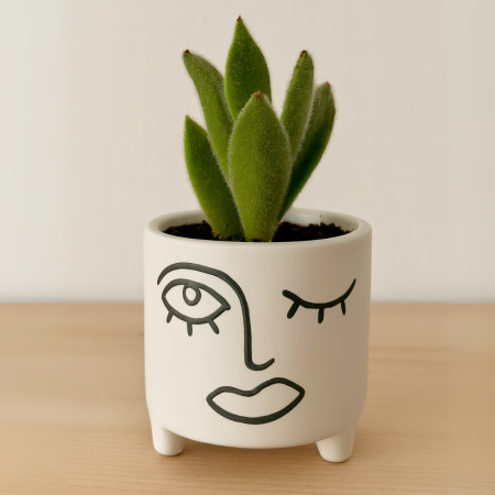 Mini maceta cerámica, 9x9cm