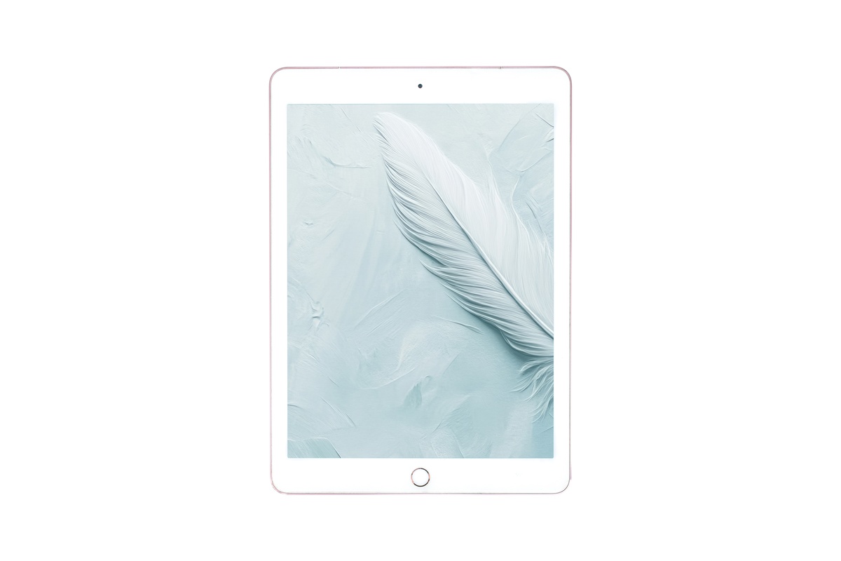 Graceful Feather Impression minimalist iPad wallpaper in soft blue