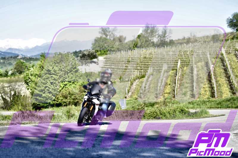 Monferrato