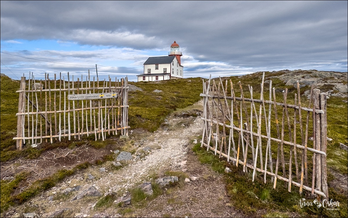 St. John's (I) - Terranova & Labrador: icebergs, puffins y balleneros vascos (27)