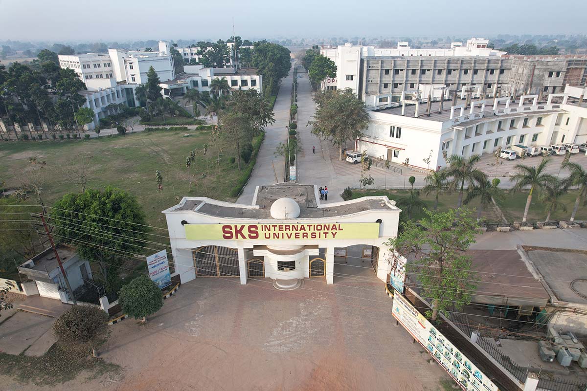 S.K.S. International University Image