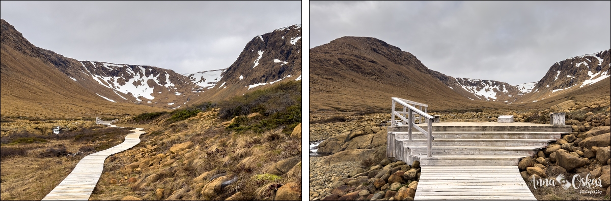 Terranova & Labrador: icebergs, puffins y balleneros vascos - Blogs de Canada - Gros Morne National Park (I) (5)