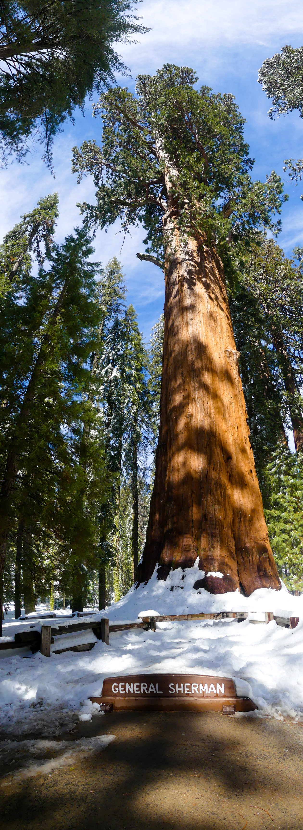 General Sherman General Sherman
