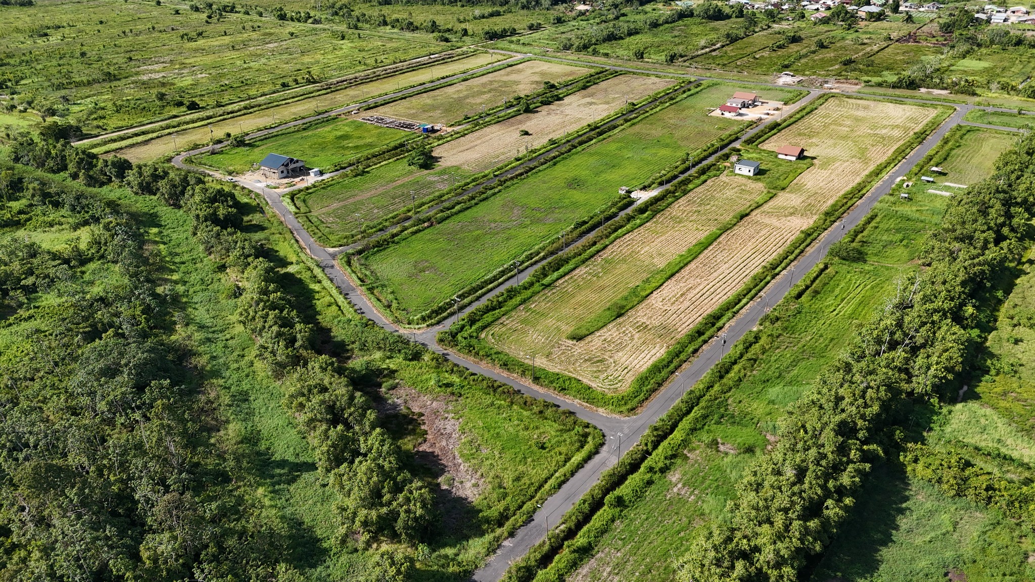 ECO Real Estate Development 2.jpg