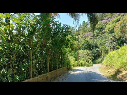 LOTE 002        Parte Ideal 2,31561% da Gleba de Terras, S...