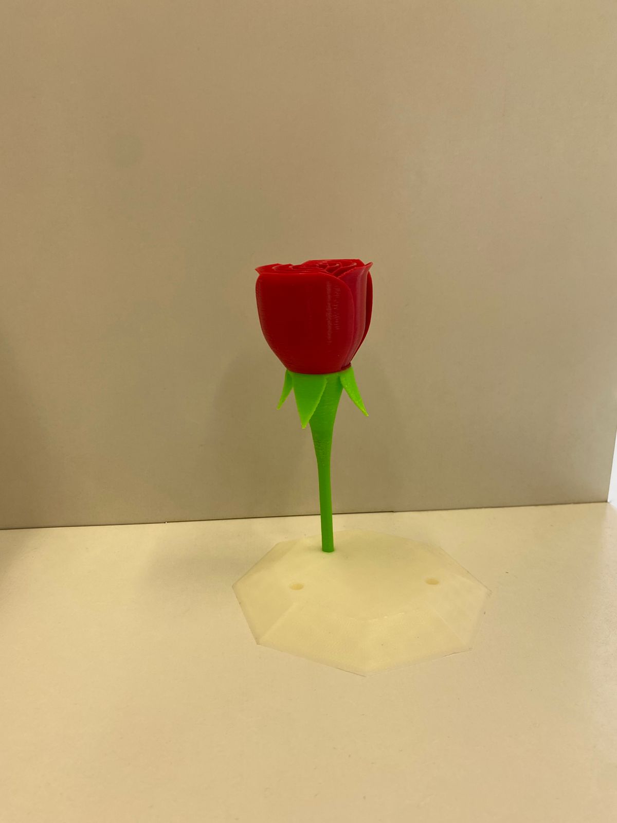 Rosa (Pequena)