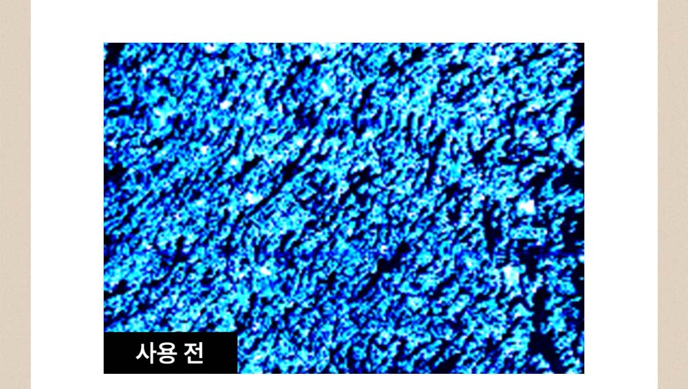 샤워오일 10-4